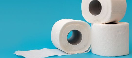 papier WC