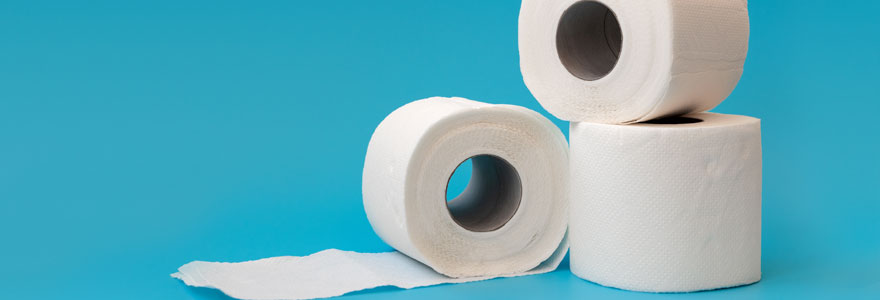 papier WC