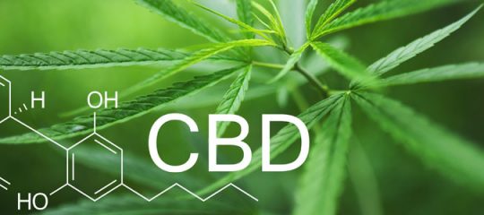CBD