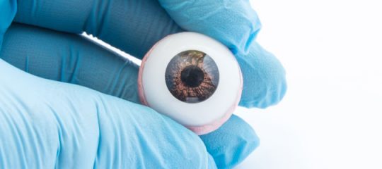 Prothèses oculaires